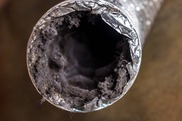 Air Duct Mold Removal in Traer, IA
